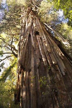 nationalPark21